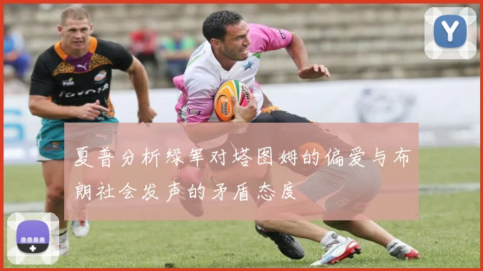夏普分析绿军对塔图姆的偏爱与布朗社会发声的矛盾态度