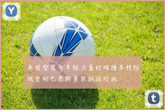 老将智慧与年轻力量的碰撞多特防线坚韧巴恩斯勇敢挑战对抗