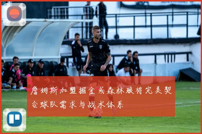 詹姆斯加盟掘金或森林狼将完美契合球队需求与战术体系